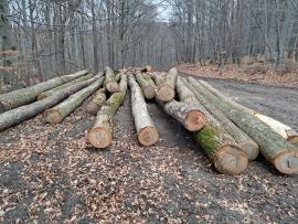 Predam guľatinu jasen